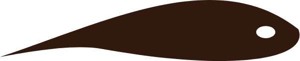 公司介绍