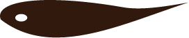 公司介绍